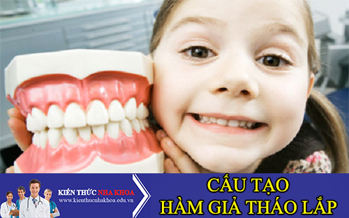 cấu tạo của hàm răng giả tháo lắp