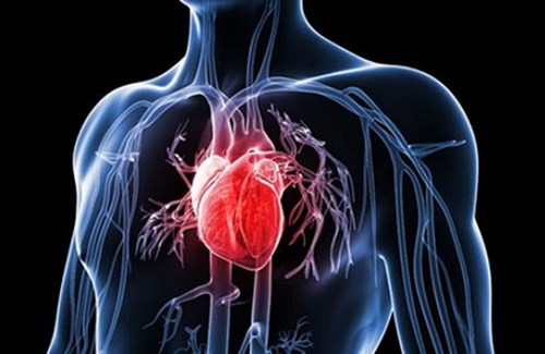 Không Cạo Vôi Răng Có Sao Không -4