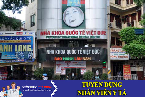 Nha Khoa Quốc Tế Việt Đức Tuyển Dụng Phụ Tá Nha Khoa